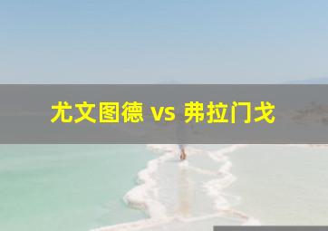 尤文图德 vs 弗拉门戈